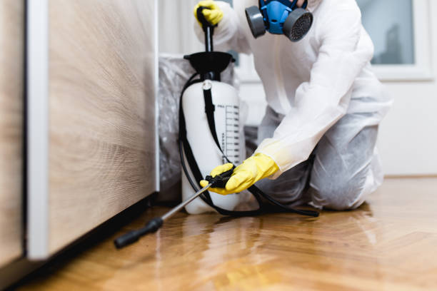 Best Wasp Removal Services  in Winchester, IL