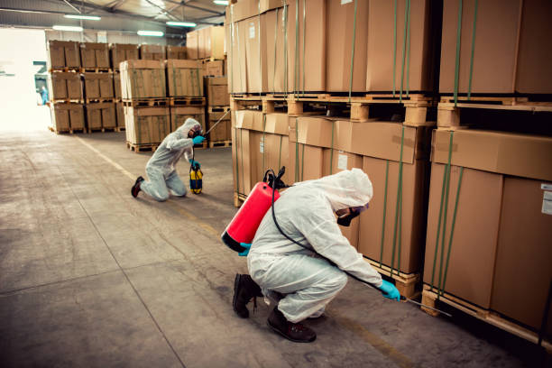 Best Flea Control Services  in Winchester, IL