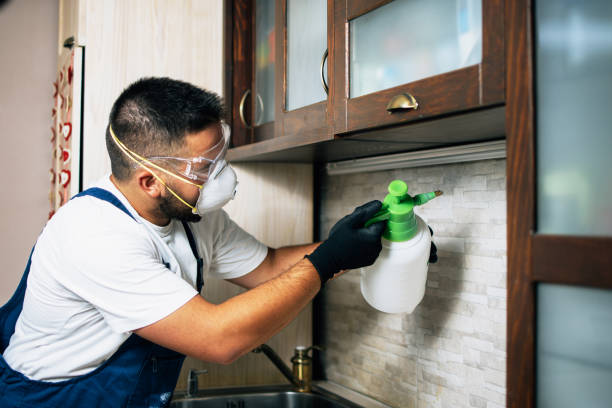 Best Pest Prevention Services  in Winchester, IL