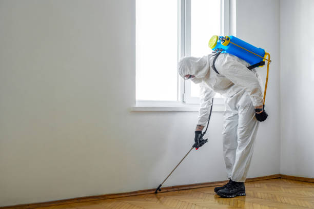 Pest Prevention Services in Winchester, IL