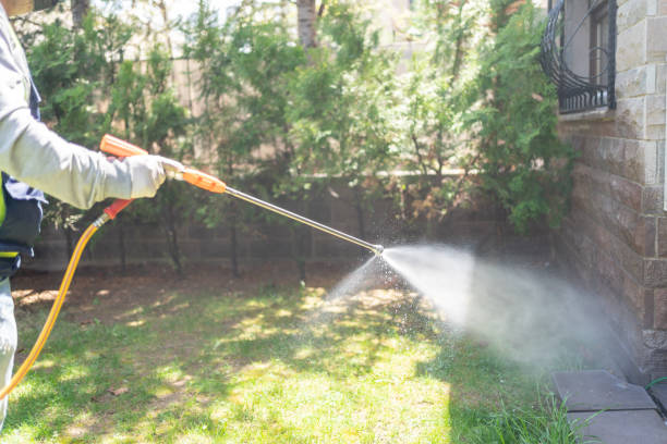 Best Pest Removal Services  in Winchester, IL