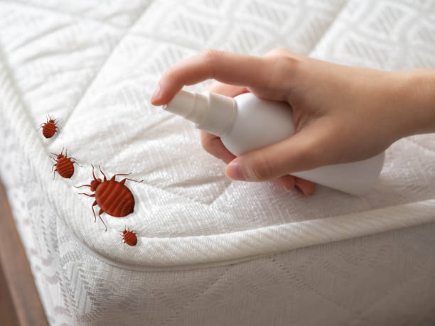 Best Affordable Pest Control Services  in Winchester, IL