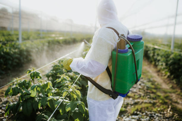  Winchester, IL Pest Control Pros